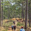 스마일마취통증의학과의원 이미지