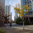 판교월드컵공인중개사사무소 이미지