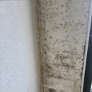 노원-공릉-3421 이미지