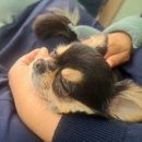 순식농장 이미지