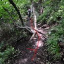 제일가든 이미지