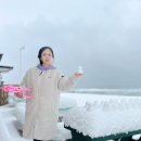 해중공원펜션 이미지