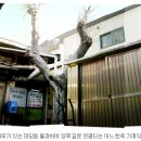 공구장사