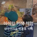 거북산당 | 수원 아이랑 가볼만한곳 아쿠아리움 수족관 파충류 카페 어푸어푸
