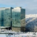 더블트리 바이 힐튼 서울 판교 이미지