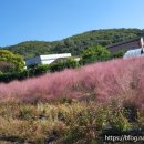 금성종합가스 이미지