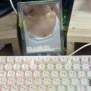 현이네 슈퍼 | [직장인 TMI일기] 요즘 읽는 책 추천 / 출근룩 /회 맛집 추천