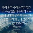 (주)손엔 Daum카페