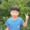 박현수농장 이미지