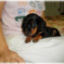 땡구야놀자 이미지