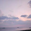 강원도동물위생시험소 | 강원도오션뷰숙소 추천 | 오션투유리조트 파노라마 오션뷰 스위트콘도 후기