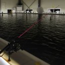 아산락실내바다낚시터 이미지