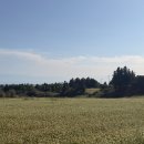 동광리-13 | [25.제주] 6월 초 2박3일 여행코스