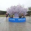 힘내라 한국인