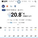 배떡용운 이미지