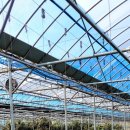 새참하우스 이미지