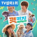 플레이독애견풀빌라 | 플레이독애견풀빌라 직접 다녀온 솔직 후기