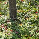 숲놀이 지도사 이미지