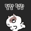 왈왈이 이미지