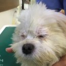 서명농장 이미지