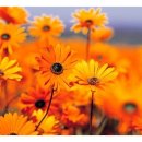 예인한의원 이미지