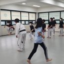 성용 태권도 이미지