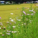 양우농장 이미지