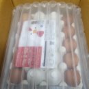 죽비네 아자몰 계란 맛있네요 이미지