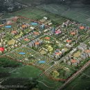 행정남로 이미지