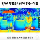 남자도 양산 써야 하는 이유 이미지