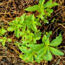 문산농약사 이미지