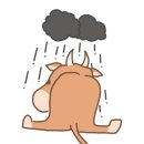 애플헤어