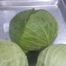 세통