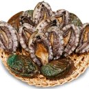 주식회사 가두리 이미지