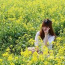 이재옥농장 Daum카페