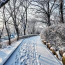 성호로공원 이미지