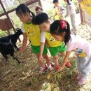 상일농장 이미지