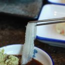 독도참가자미 이미지