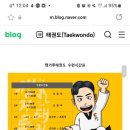 캥거루태권도 이미지