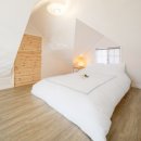 애견의숲 이미지