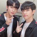 하니즈 Daum카페