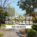 아이앤지동물병원 이미지