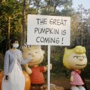 파티필름웍스 이미지