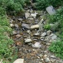 잭과 사과나무 이미지