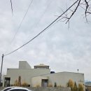 하이, 멍 | 부산애견카페로 유명한 하이멍 방문후기:)