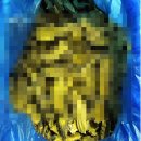 한국신텍스(주) 이미지