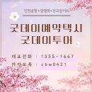 안심택시 | 여수 돌산 순천 인천공항 솔라티 15인승 대형택시 콜밴 요금 비교 예약