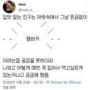 디끌레 이미지