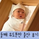 둘째 자연분만(유도분만) 출산 후기