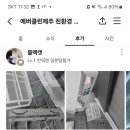 녹차분재로 이미지